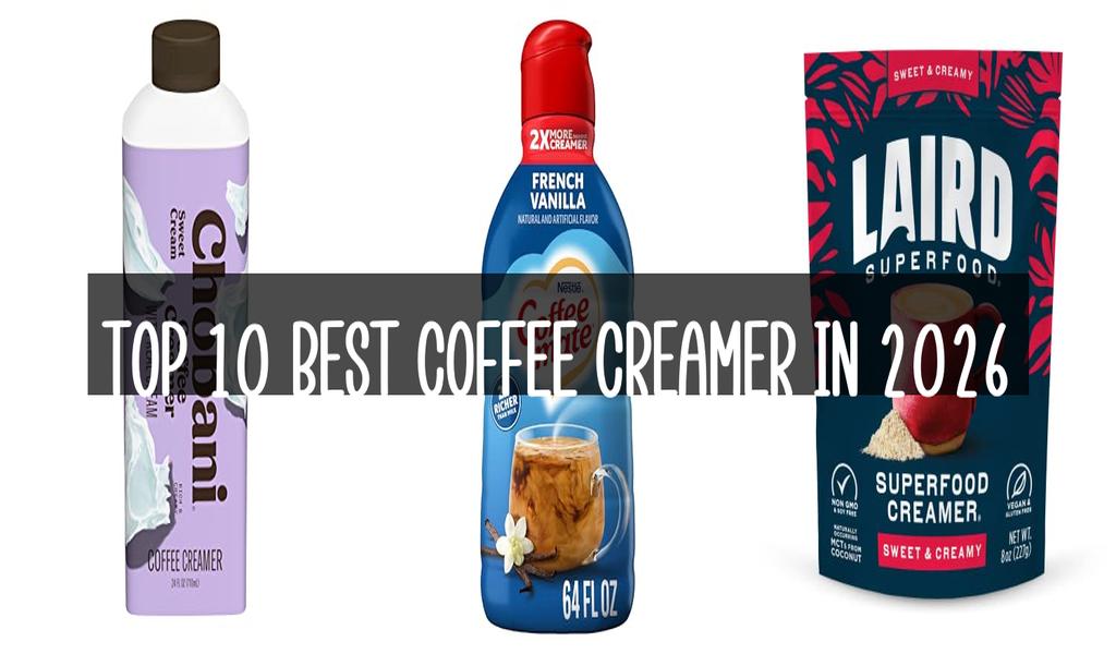 Top 10 Best Coffee Creamer in 2026