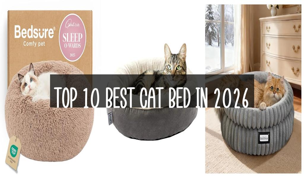 Top 10 Best Cat Bed in 2026