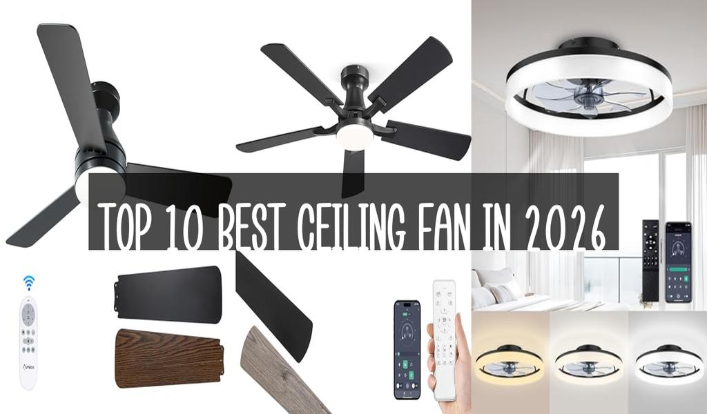 Top 10 Best Ceiling Fan in 2026