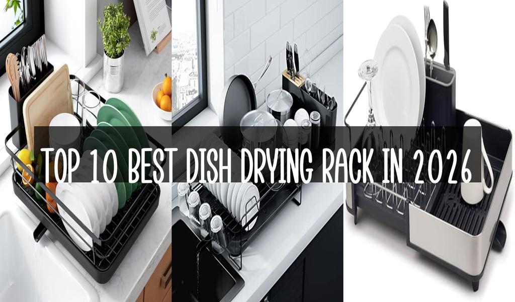 Top 10 Best Dish Drying Rack in 2026