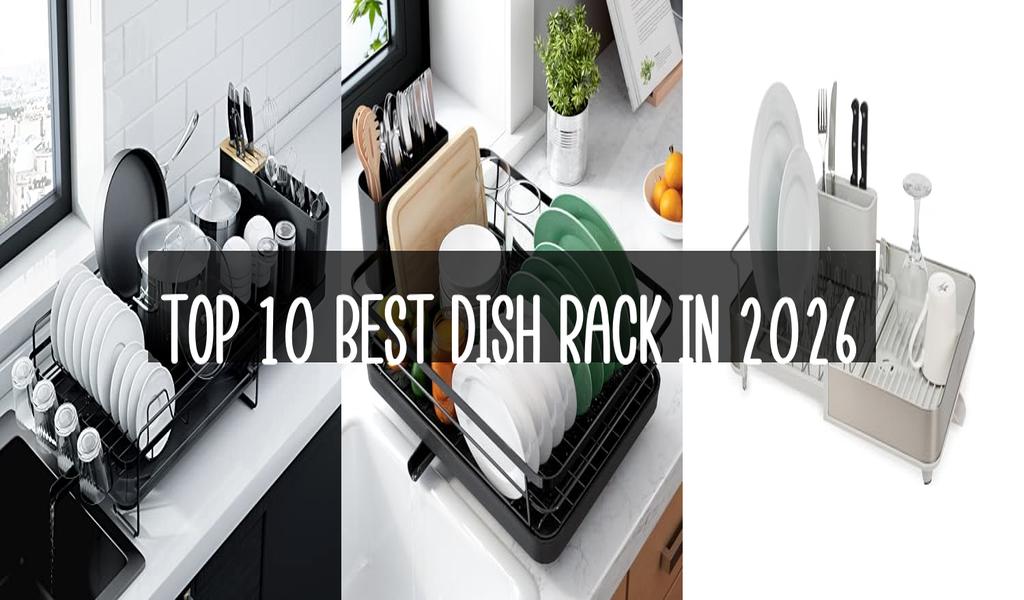 Top 10 Best Dish Rack in 2026