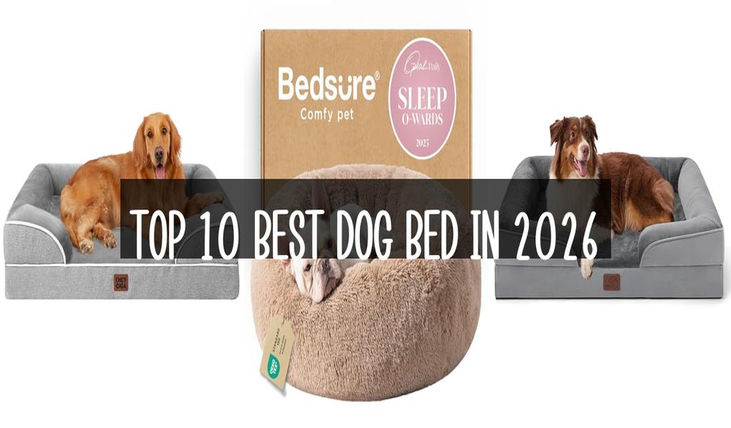 Top 10 Best Dog Bed in 2026