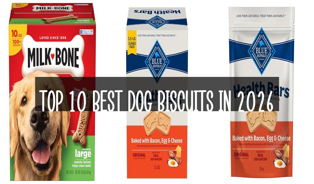 Top 10 Best Dog Biscuits in 2026
