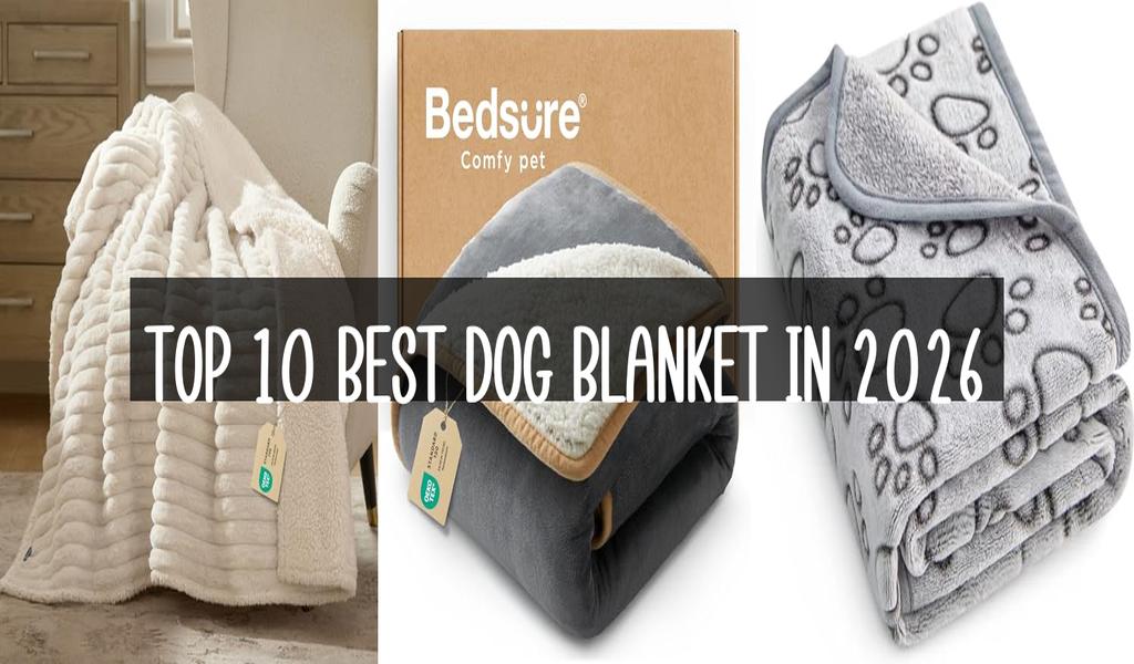 Top 10 Best Dog Blanket in 2026