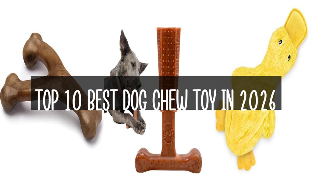 Top 10 Best Dog Chew Toy in 2026