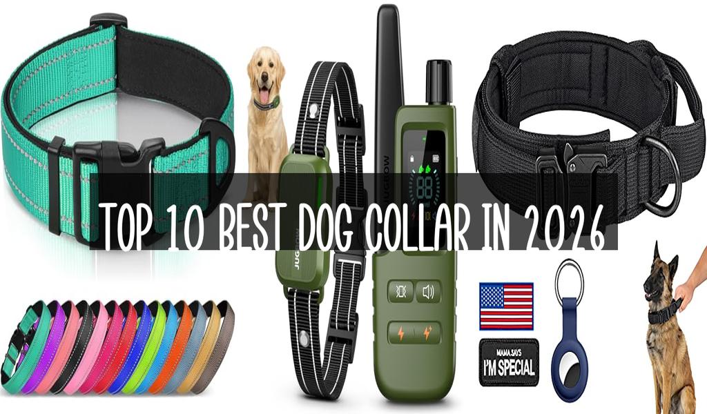 Top 10 Best Dog Collar in 2026