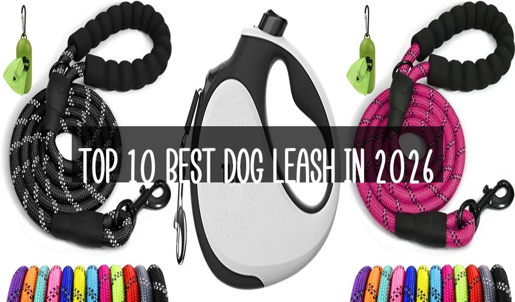 Top 10 Best Dog Leash in 2026
