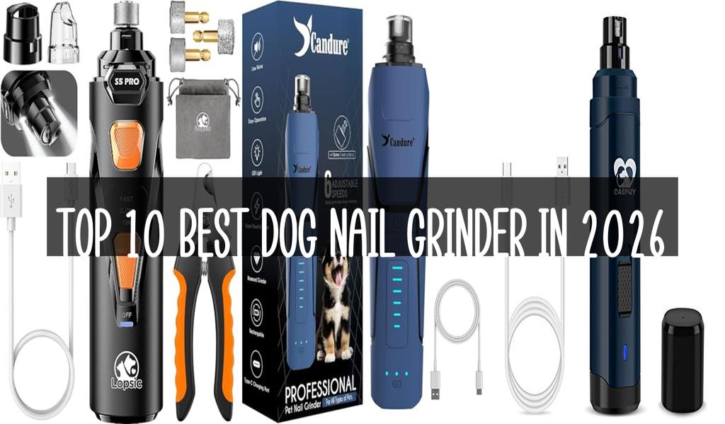 Top 10 Best Dog Nail Grinder in 2026